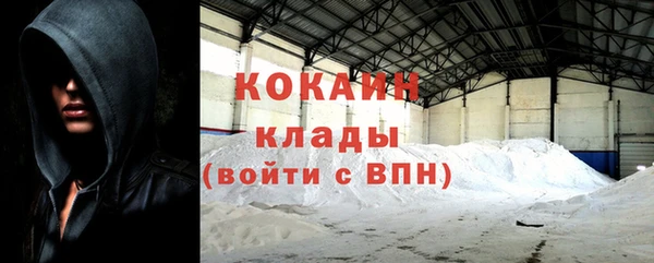 ПСИЛОЦИБИНОВЫЕ ГРИБЫ Касимов