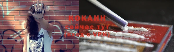 ПСИЛОЦИБИНОВЫЕ ГРИБЫ Касимов