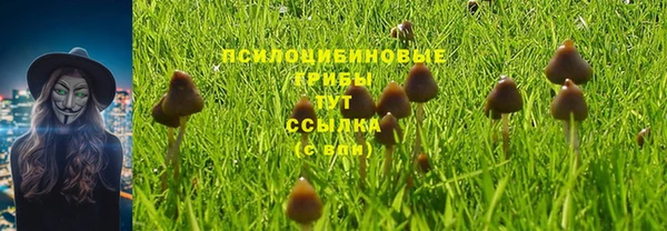 кристаллы Карпинск