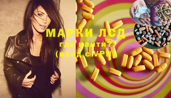 ПСИЛОЦИБИНОВЫЕ ГРИБЫ Касимов