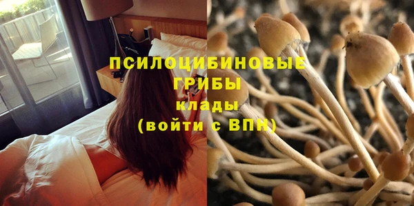 ПСИЛОЦИБИНОВЫЕ ГРИБЫ Касимов