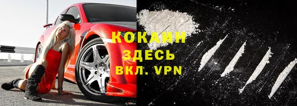 ПСИЛОЦИБИНОВЫЕ ГРИБЫ Касимов
